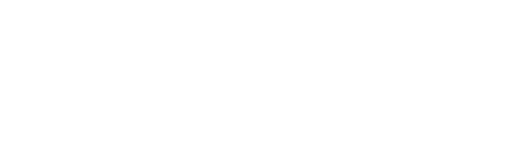 LEBBUS